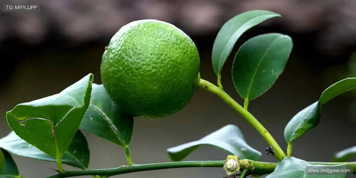 💬边看边聊，弹幕狂欢点燃观赛热情！🎉